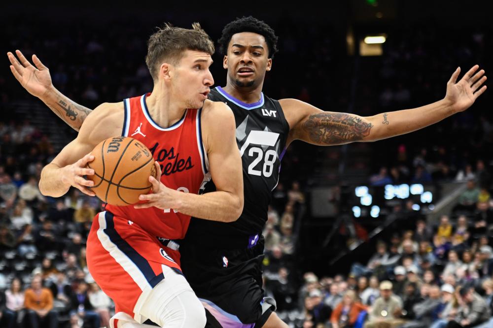 这只老鹰体 这只老鹰体